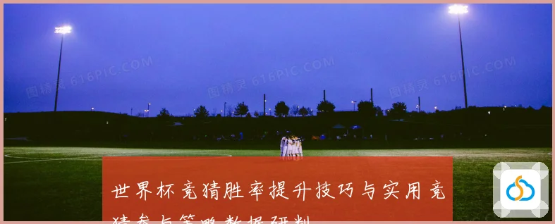 世界杯竞猜胜率提升技巧与实用竞猜参与策略数据研判