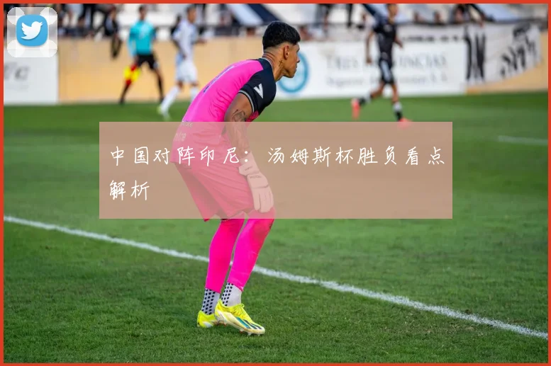 中国对阵印尼：汤姆斯杯胜负看点解析