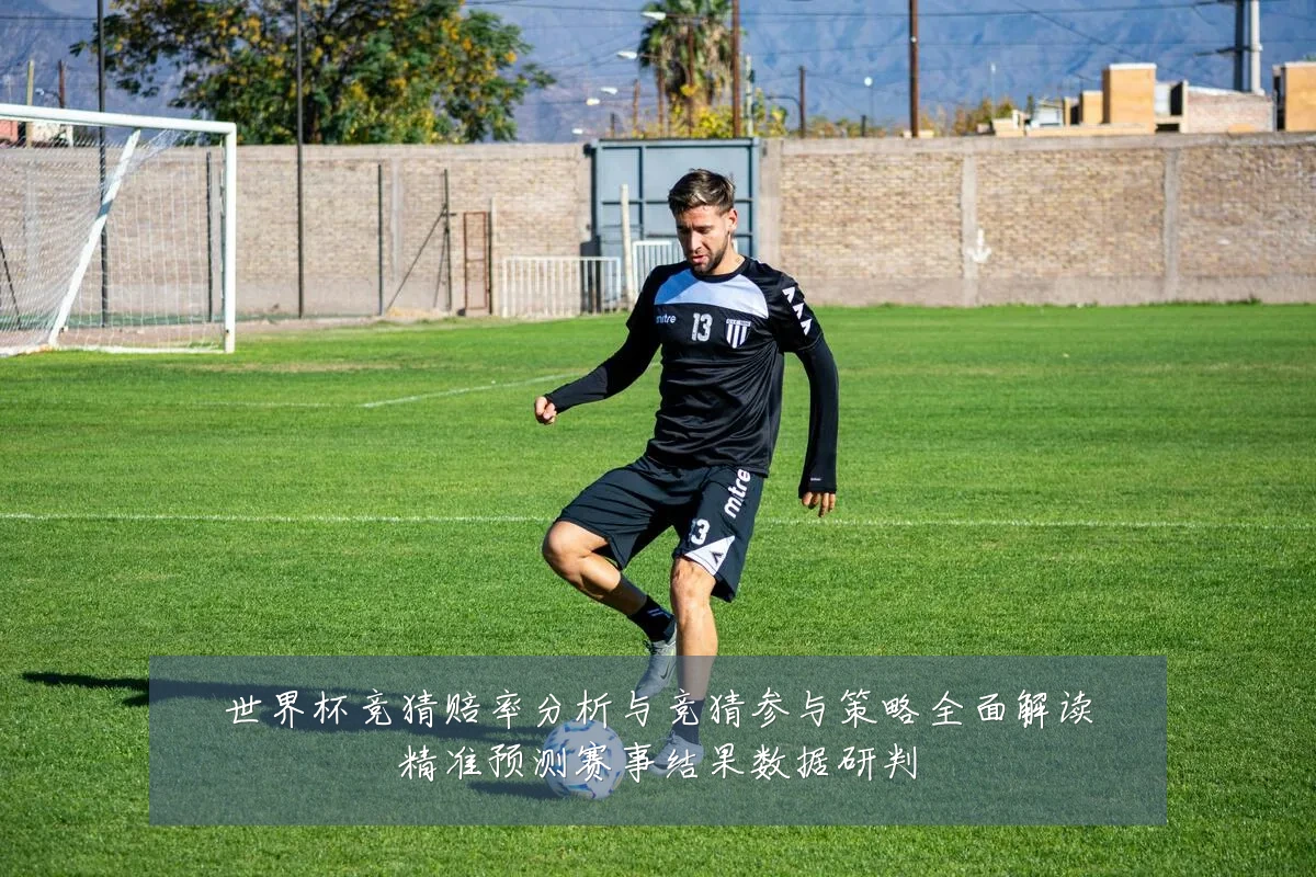 世界杯竞猜赔率分析与竞猜参与策略全面解读精准预测赛事结果数据研判