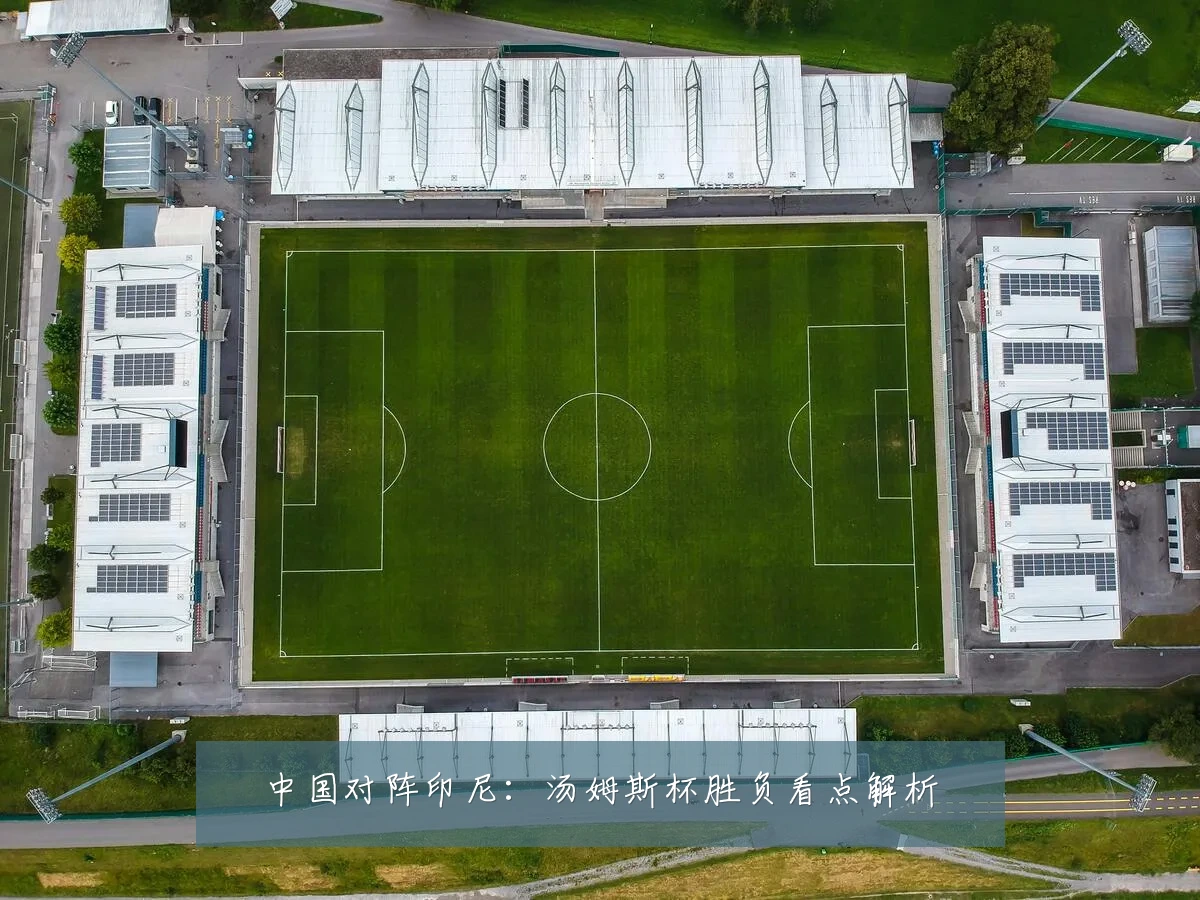 中国对阵印尼：汤姆斯杯胜负看点解析